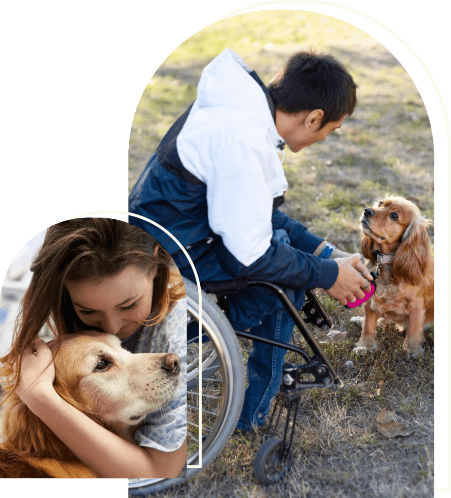 Composite, Large Golden Retriever Support Dog offering companionship to an individual in hospital, and a Smaller Certified Support Dog providing emotional comfort to a person in a wheelchair.