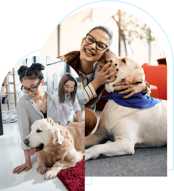 Certified Support Dog sitting beside Student handler, providing comfort. Composite Two photos, Certified Support Dogs sitting beside their handlers, each providing comfort.