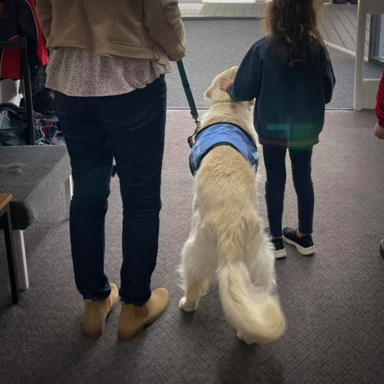 clarinda primary school sampson clarinda primary school sampson