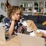 Owner talking to dog during work