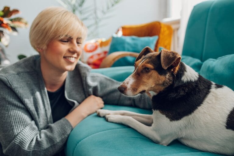 Woman cuddling and playing with her dog at home on the couch