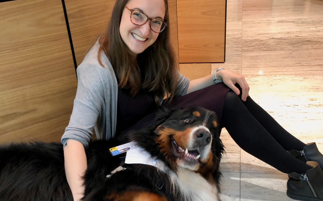 therapy Smiling person with content Bernese Mountain Dog